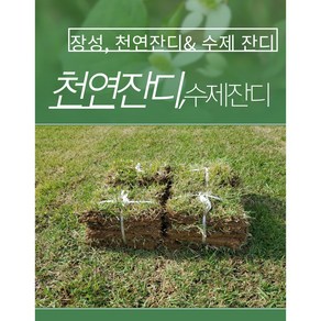 [짱짱마켓] 한국롤잔디 40cm X 60cm 4장 잔디 롤잔디 들잔디, 4개