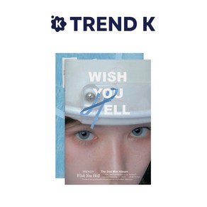 웬디 앨범 미니2집 [Wish You Hell] 포토북 WENDY 위시유헬 Photobook Ve(미개봉)