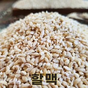 밥보야 24년산 국산 할맥 1kg 할맥밥, 1개