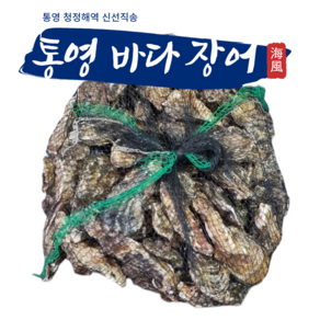 통영바다장어 통영굴 석화 굴구이용 찜용 굴, 1박스, 5kg