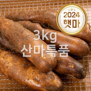 태산농장 안동 태산농장 산마 산약 참마, 1개, 3kg (j.산마특품)