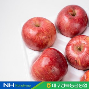 [대구경북능금농협] 청송 사과 (부사) 가정용 3kg (12-15과), 1박스