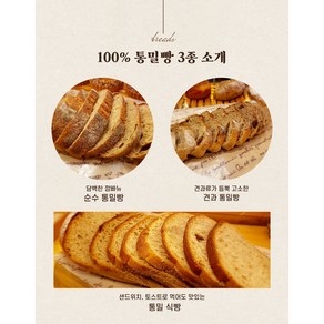 (김경오빵집 통밀식빵) 100% 유기농 통밀 비건 식사대용 당뇨 임당 무설탕 무가당, 1개, 570g