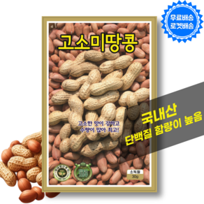 땅콩씨앗 (30g) 국내산 땅콩종자 땅콩씨 파종