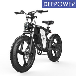 DEEPOWER 최신형 2000W 48V 25Ah 전기자전거 MTB 산악 자전거 20인치 팻바이크 7단 변속, 25Ah 2000W, 1개