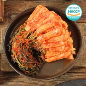 나이스파머스 국내산 당일제조 HACCP인증 김치 골라담기 3kg, 1개