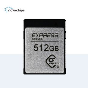 노바칩스 CFexpess Type B Cad 메모리카드, 512GB, EXPRESS, 1개