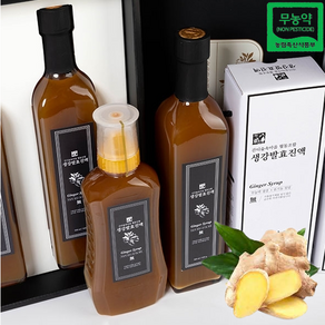 [오늘발송] 무농약 지리산 생강청 생강발효진액 520ml/630ml 국내산 생강 원액 효능 환절기 건강차 생강즙 국산 진한 생강진액, 520ml 지리산 국산 생강진액, 520ml, 1개, 1개입