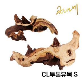 CL 투톤유목(S) 20~30cm