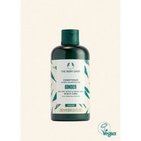 더바디샵 진저 스캘프 케어 컨디셔너 250ML CONDITIONER GINGER 250ML, 1개