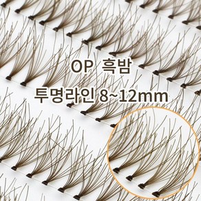 10줄 투명라인 흑밤갈색모 8~12mm [DUOEYEME] : 자연스러운 부분속눈썹