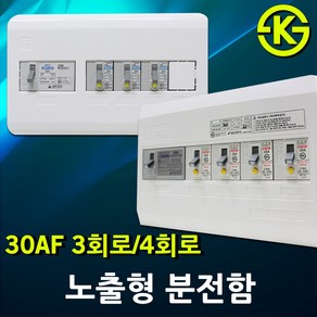 노출형 분전반 분전함 3회로 4회로 차단기함 배전함 배전반 완전조립형 누전차단기 배선차단기 3분기 4분기 30AF 50AF 노출형분전함 차단기 국산 전기 차단기포함 5회로 6회로, 02. 서울산전 노출형 분전함 4회로, 1개