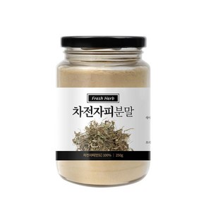 신선약초 차전자피분말 250g 질경이씨 껍질 분말 파우 tip*771lj, 1개