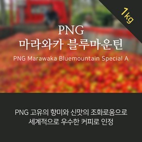 (커피생두)행복한커피 PNG 마라와카 블루마운틴 1kg, 1개