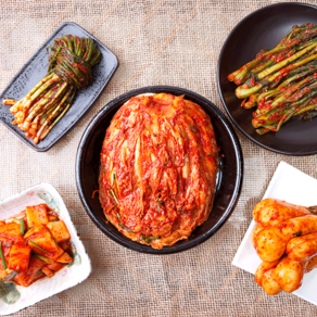 100% 국내산 배추 파 깍두기 갓 총각 김치 외 8종 이가네 김치, 01.맵따구 일반 깍두기 1kg, 1kg, 1개