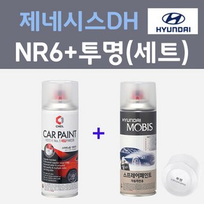 현대 제네시스DH NR6 블랙퍼플 주문컬러 스프레이 + 모투명마감용스프레이 자동차 카 페인트 200ml, 1개