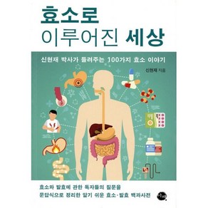 효소로 이루어진 세상:신현재 박사가 들려주는 100가지 효소 이야기, 이채, 신현재 저