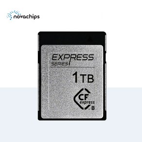 노바칩스 CFexpess Type B Cad 메모리카드, 1TB, EXPRESS, 1개