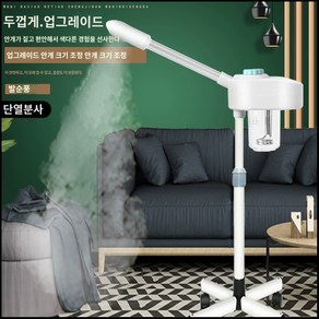 피부관리실제품 안면피부스티머 이온스티머 냉온 가정, 단일 튜브 용사, 단일 튜브 용사