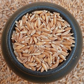 파로 2kg FARRO 이탈리아 엠머 밀 고대곡물 2023년산, 1개