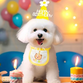 강아지 고양이 생일 파티 HBD 꽃 고깔 모자 & 턱받이, 노랑