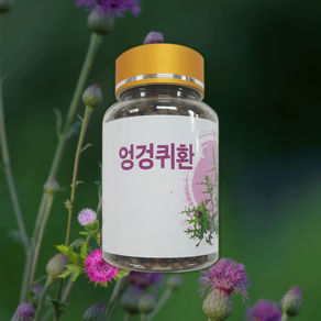 국내산 100% 엉겅퀴환 100g, 1개