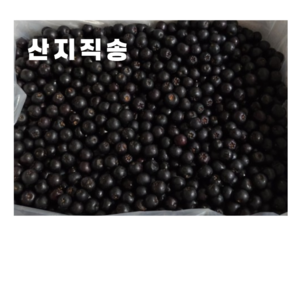 아로니아 생과 냉동열매 세척꼭지제거 국산 급냉 산지직송, 1개, 2kg