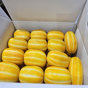 더뜰마켓 성주참외5kg 고당도 당도보장 꿀참외 당일수확, 1박스, 5kg(꼬마/ 35-50과)