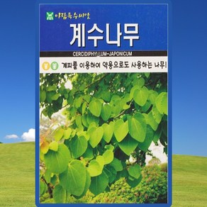 아람종묘 계수나무 씨앗 500립 계수나무 씨 수목 종자, 1개