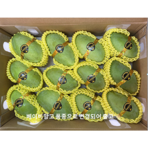알라딘푸드 베트남 그린망고 께오입고, 2.5kg(6~8과), 1박스