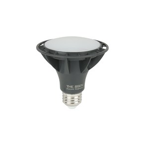 동성 더쎈 LED PAR30 15W 확산타입 더뷰 파30, 전구색, 10개