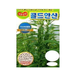팜스마켓 골드안산참깨씨앗 종자 1000립(코팅씨앗) (텃밭 베란다재배 골드안산 참께씨 씨앗 종자), 1개