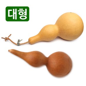 천연 통조롱박 중-대형 (통박 표주박 호롱박 전통장식 공예품, 대형-둘레30-길이17-지름10