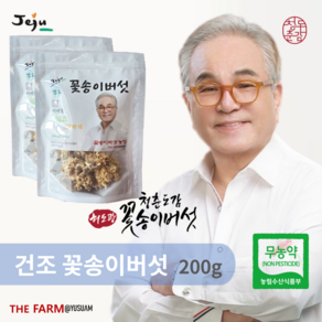제주 유수암더팜 무농약 건조 꽃송이버섯 면역력 강화 베타글루칸 다량함유 허도광 청춘도감 건조 꽃송이버섯, 2개, 100g