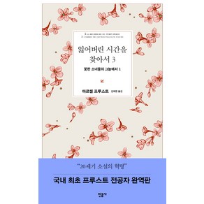 잃어버린 시간을 찾아서 3: 꽃핀 소녀들의 그늘에서 1, 민음사, 마르셀 프루스트