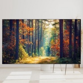 삼성전자 4K Neo QLED TV 방문설치 QNC85, 138cm(55인치), KQ55QNC85AFXKR, 벽걸이형