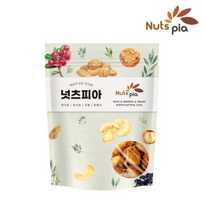 넛츠피아 건무화과, 200g, 1개