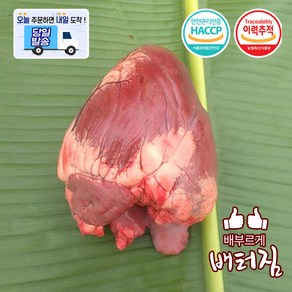 (당일출돼지) 횡성 한우염통 소염통 소심장, 1kg, 1개