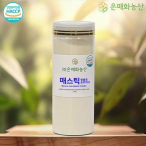 매스틱 위건강 검 효능 분말 가루 350g, 1개