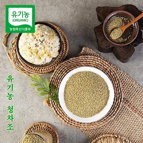 24년 국내산 햇 유기농 청차조 차조 찰기장 기장조 조 기장쌀 500g 식품 곡물 영양밥 가루 비건 무농약 아기 이유식