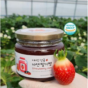 지리산 산골 수제 딸기잼 -500g, 1개, 500g