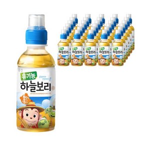 웅진 유기농 하늘보리차, 200ml, 24개