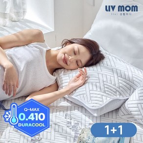 [1+1/2개세트] 매일 바꿔쓰는 듀라쿨 아이스냉감 베개커버 1+1 40x60/50x70