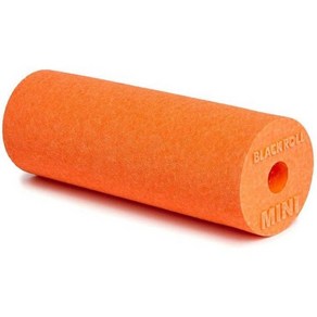 블랙롤 독일폼롤러 미니 18g 15cm x 5.3cm, Oange, MINI, 1개