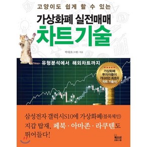 고양이도 쉽게 할 수 있는 가상화폐 실전매매 차트 기술:유형분석에서 해외차트까지