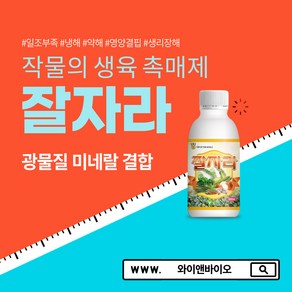 와이앤바이오 잘자라(500mL) 필수영양소+아미노산+미네랄 고추 배추 상추 무 마늘 양파 딸기 토마토 성장촉진제 냉해극복제 친환경비료, 1개, 500ml