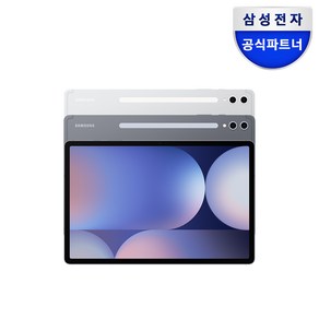 삼성전자 갤럭시탭 S10 플러스 256GB/512GB, Wi-Fi, 256GB, 문스톤 그레이