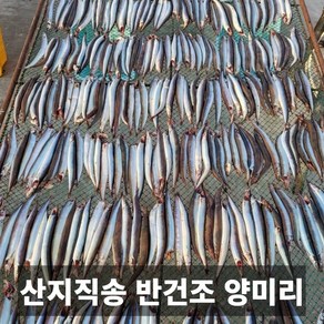 청담농수산 산지직송 프리미엄 살 꽉찬 반건조 양미리, 1개, 2팩 (40마리)