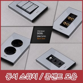 dosel 동서 동서이엘씨 라인 실버 투톤 스위치 콘센트 인터넷 모듈라 1구 2구 3구 4구 5구 6구 8P 1구, 2. 실버 1로 스위치 2구, 1개