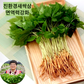 대숲맑은 새싹삼 새싹인삼 100뿌리 산지직송 GAP인증, *대 30뿌리 (25cm 좌우), 1개